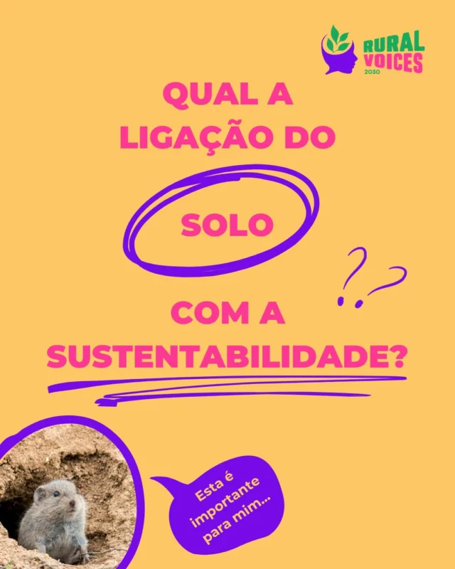 Para construirmos um futuro sustentável, temos de começar pela base: o solo. 🌱 É nele que cultivamos os nossos alimentos, erguemos as nossas comunidades e encontramos recursos essenciais como a água.

Quanto mais saudável for o solo, mais resiliente e sustentável será o nosso desenvolvimento. 🌞

Tu também tens um papel a desempenhar ‼️ Descobre aqui como os Objetivos de Desenvolvimento Sustentável estão diretamente ligados à preservação do solo e inspira-te para poderes fazer a diferença na tua comunidade 🙌

#RuralVoices2030 #Solo #Biodiversidade #euDEARprogramme