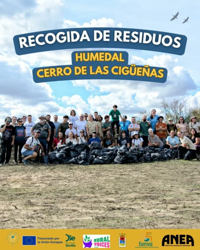 🌿♻️ ¡GRACIAS por una jornada inolvidable! ♻️🌿

En el humedal Cerro de las Cigüeñas hemos demostrado que cuando las personas se unen, pasan cosas maravillosas 💚. Gracias a cada voluntario y voluntaria por su esfuerzo, su compromiso y su energía para dejar nuestro entorno un poco más limpio.

Muchísimas gracias pasphoto.hesperis
por el trabajazo que captó durante la recogida

Queremos dar un agradecimiento muy especial a red_famsi, ayto_lospalacios_y_vfca, quiquebolsitas , ACE, zoologiaus, okplanetsevilla eden.asociacion , porque sin vuestro apoyo nada de esto habría sido posible. Gracias por creer en el cuidado del medio ambiente y por formar parte del cambio 🌍💪

#CerroDeLasCigüeñas #famsi
#RuralVoices2030  HumedalesVivos