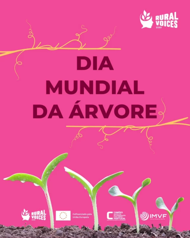 🌳 No Dia Mundial da Árvore lembramos que as árvores são muito mais do que paisagem.

Raízes fortes protegem os solos, armazenam carbono e reforçam a resiliência climática 🌍

A ambientalista queniana Wangari Maathai mostrou como plantar árvores pode ser também um ato de justiça social. Fundadora do Green Belt Movement e Prémio Nobel da Paz, mobilizou milhares de mulheres para proteger território, solos e comunidades ✊

Cuidar das árvores é cuidar das pessoas, do solo e do futuro.

As árvores ligam solo, clima e justiça social.

#CidadaniaGlobal #Jovens2030 #ruralvoices2030
#DiaDaÁrvore #JustiçaClimática IgualdadeDeGénero Solos
