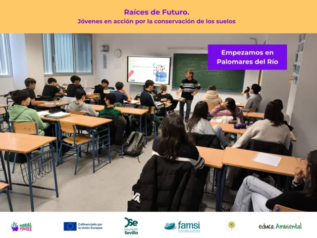 ¿Sabías que el suelo que pisamos cada día es clave para sostener la vida?

El alumnado de 3º ESO A y D ya ha comenzado su camino en Raíces de Futuro. Con estos grupos, Palomares del Río se suma al reto de conservar nuestros suelos.

En estas primeras sesiones, han podido comprender la importancia vital del suelo, las amenazas a las que se enfrenta y las oportunidades reales que tenemos para protegerlo.

Además, hemos explorado la conexión entre sostenibilidad ambiental y justicia social, incluyendo la igualdad de género.

Conocer para proteger… ¡objetivo en marcha!

Seguimos avanzando hacia la siguiente sesión, con ganas de seguir aprendiendo y actuando.

La juventud de Palomares del Río demuestra que el cambio empieza desde abajo: desde la tierra… y desde las aulas.

#ruralvoices2030 #programaeudear #mujeres #suelo #biodiversidad #juventudenacción #palomaresdelrio #iespalomares