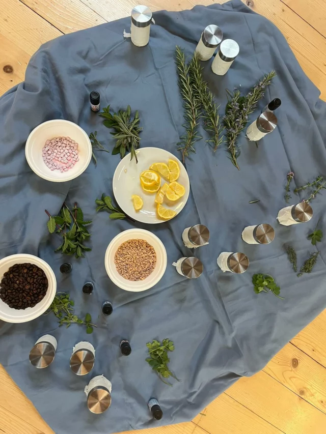 Im Rahmen des Projekts „zusammenblühen“ durften wir gemeinsam mit einer Klasse gysfeldkirch einen tollen Workshop erleben und gestalten. Dabei konnten die Jugendlichen sich selbst auf neue Weise entdecken – durch Natur, Achtsamkeit, bewussten Genuss und kreative Zugänge.

Es entstanden kreative „Wachstums-Pflanzen“ 🌼, die persönliche Ressourcen und Stärken sichtbar machten. So wurde Raum geschaffen, um zur Ruhe zu kommen und sich als Teil der Gruppe zu erleben.

#zusammenblühen #aufblüherei #südwind #ruralvoices2030 #euDEARprogramme