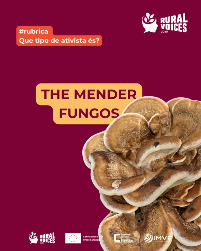🍄 The Mender - Fungos

Nem toda a mudança começa do zero 👀

Tal como os fungos no solo decompõem matéria e devolvem nutrientes à terra, o Mender transforma problemas em oportunidades de regeneração 🌱

Reconstrói relações.
Repara danos.
Cria novas possibilidades a partir do que já existe ✊

Num mundo cheio de desafios, este tipo de ativismo lembra-nos que cuidar, reparar e regenerar também é agir.

Porque sem regeneração, não há futuro sustentável.

#CidadaniaGlobal #Jovens2030 #ruralvoices2030
#QueTipoDeAtivistaÉs #Ativismo Regeneração MudançaSocial
