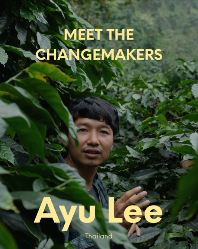 Meet the Changemakers
Stories from SFYN food people, Ep. 01 - Ayu Chuepa

Meet Ayu Chuepa, social entrepreneur from  Northern Thailand and founder of akhaamacoffee, a social enterprise
working to make coffee farming more sustainable while empowering local communities.

After working in community development, Ayu returned to his home village and turned his experience into a new
model for coffee: one that connects quality, sustainability, livelihoods, and cultural identity.

Since representing Thailand at Terra Madre in 2014, Ayu has continued to be an active part of the Slow Food Coffee
Coalition, championing sustainable coffee and agroecological practices.

Meet Ayu at the Coffee Rave we are hosting at Terra Madre 2026. More info coming soon. 

#RootedInResilience #TerraMadre2026 #SFYN #RuralVoices2030 #EUDearProgramme