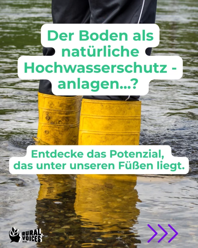 Gesunde Böden sind unsere beste Verteidigung gegen die Folgen des Klimawandels: 
Starkregen und Dürre. 🌧️ 

Sie fungieren als ein natürlicher Schwamm. Ein gesunder, lockerer Boden kann riesige Wassermengen speichern. Bei den extremen Starkregen der letzten Jahre hat sich gezeigt: 
Wo der Boden Wasser aufnehmen kann, bleiben Straßen trocken und Keller leer. ☀️ 

Lebensretter in der Hitze: 
Nach den Hitzewellen wissen wir: Trockene, verdichtete Böden lassen das Wasser einfach ablaufen oder verdunsten. Gesunde Böden speichern es und versorgen Pflanzen auch in langen Trockenphasen. 

🏗️ Versiegelung stoppen: 
Je mehr Fläche wir versiegeln, desto weniger Wasser kann der Boden aufnehmen. Die Entlastung der Kanalisation beginnt beim Verzicht auf neue Versiegelung und beim Rückbau alter Flächen. 

#hochwasser #hochwasserschutz #RuralVoices2030 #euDEARprogramme #Bodenschutz #finepmachtprojekte #Klimaschutz